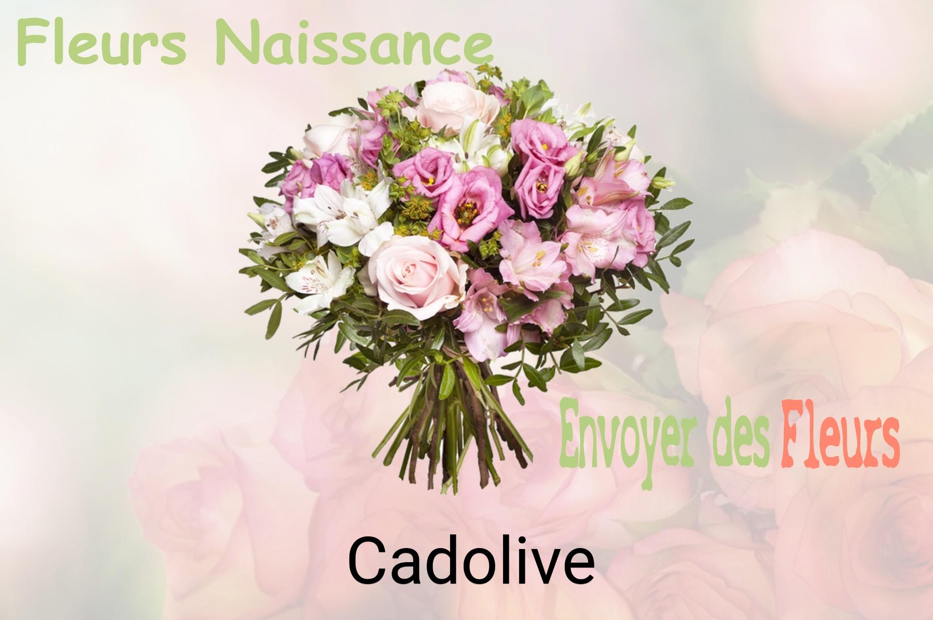 Bouquet de fleurs de naissance livré à Cadolive