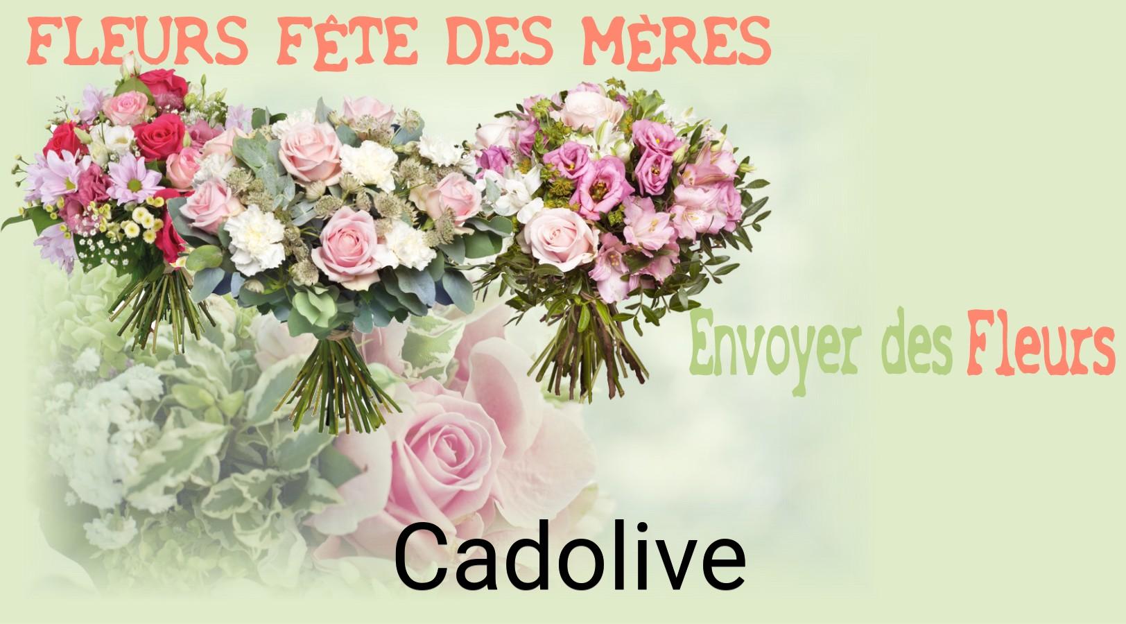 Bouquet de Fête des Mères livré à Cadolive
